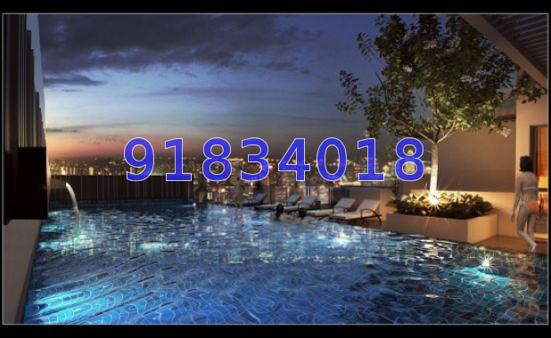 Edenz Suites (D14), Apartment #46587732